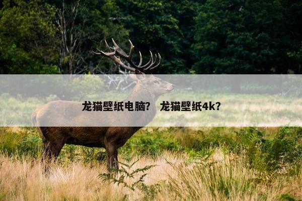 龙猫壁纸电脑？ 龙猫壁纸4k？