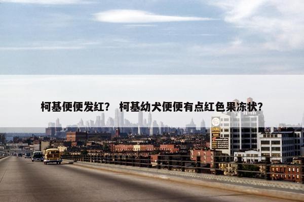 柯基便便发红？ 柯基幼犬便便有点红色果冻状？