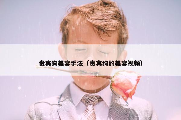 贵宾狗美容手法（贵宾狗的美容视频）