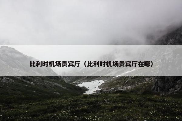 比利时机场贵宾厅（比利时机场贵宾厅在哪）