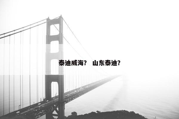 泰迪威海？ 山东泰迪？