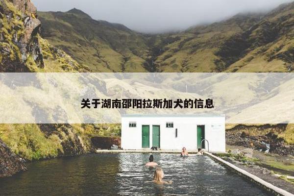 关于湖南邵阳拉斯加犬的信息
