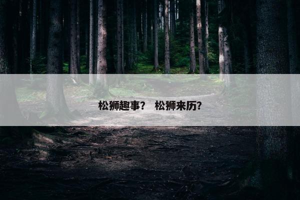 松狮趣事？ 松狮来历？