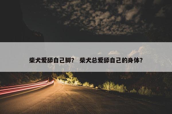 柴犬爱舔自己脚？ 柴犬总爱舔自己的身体？