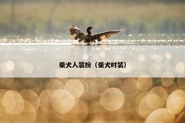 柴犬人装扮（柴犬时装）