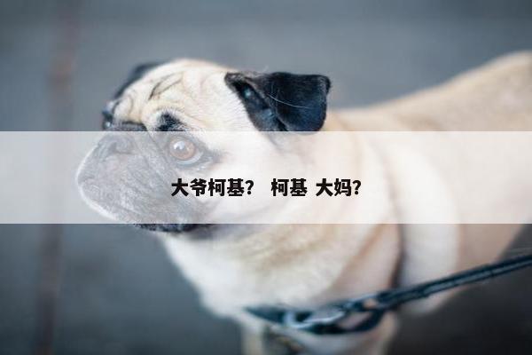 大爷柯基？ 柯基 大妈？