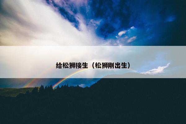 给松狮接生（松狮刚出生）