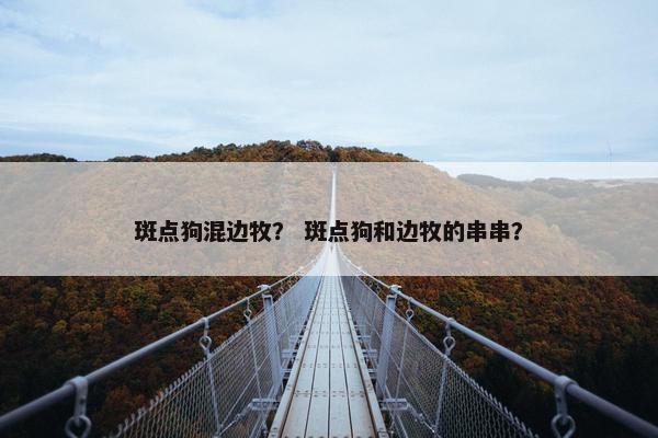 斑点狗混边牧？ 斑点狗和边牧的串串？