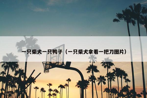 一只柴犬一只鸭子（一只柴犬拿着一把刀图片）