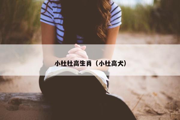 小杜杜高生肖（小杜高犬）