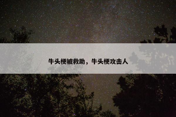 牛头梗被救助，牛头梗攻击人