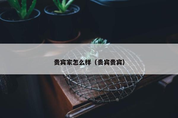 贵宾家怎么样（贵宾贵宾）