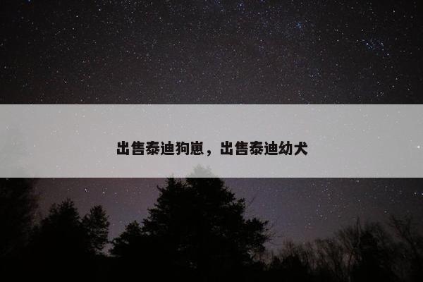 出售泰迪狗崽，出售泰迪幼犬