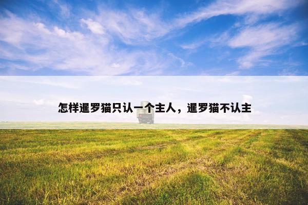 怎样暹罗猫只认一个主人，暹罗猫不认主