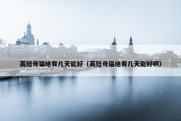 英短母猫绝育几天能好（英短母猫绝育几天能好啊）