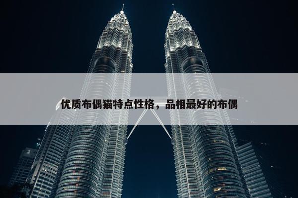 优质布偶猫特点性格，品相最好的布偶