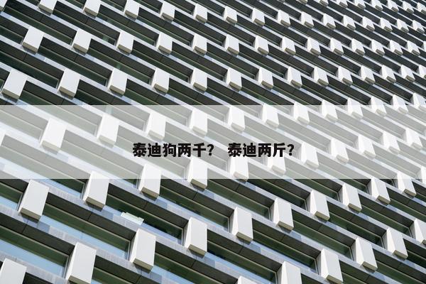 泰迪狗两千？ 泰迪两斤？