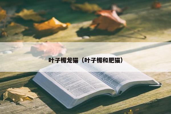 叶子楣龙猫（叶子楣和肥猫）