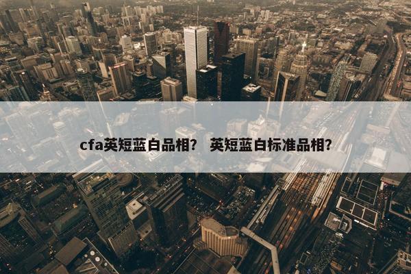 cfa英短蓝白品相？ 英短蓝白标准品相？