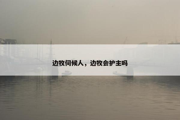 边牧伺候人，边牧会护主吗