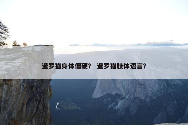 背部