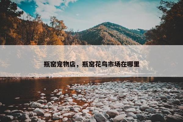 瓶窑宠物店，瓶窑花鸟市场在哪里