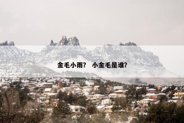 金毛小雨？ 小金毛是谁？