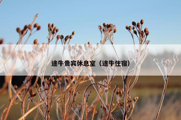 途牛贵宾休息室（途牛住宿）