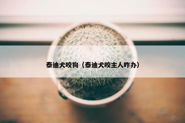 泰迪犬咬狗（泰迪犬咬主人咋办）