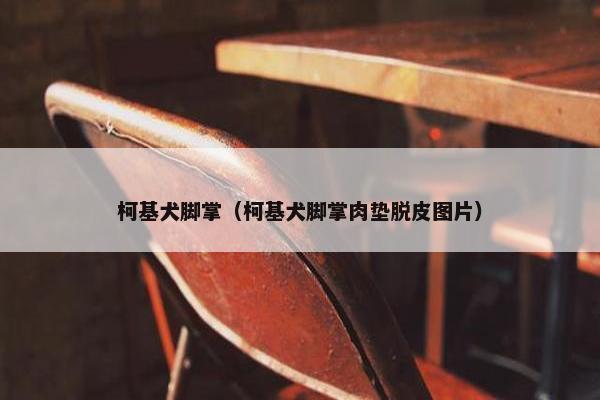 柯基犬脚掌（柯基犬脚掌肉垫脱皮图片）