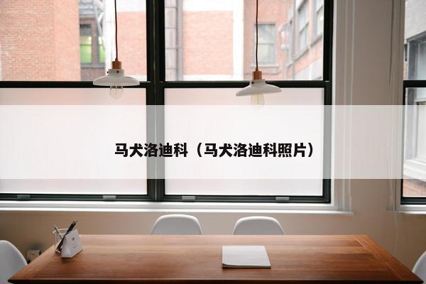 马犬洛迪科（马犬洛迪科照片）