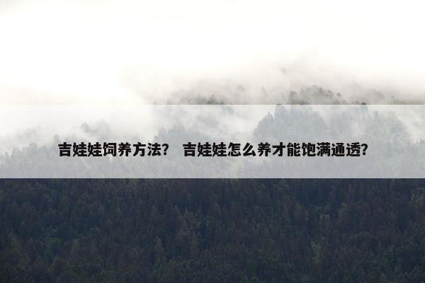 吉娃娃饲养方法？ 吉娃娃怎么养才能饱满通透？
