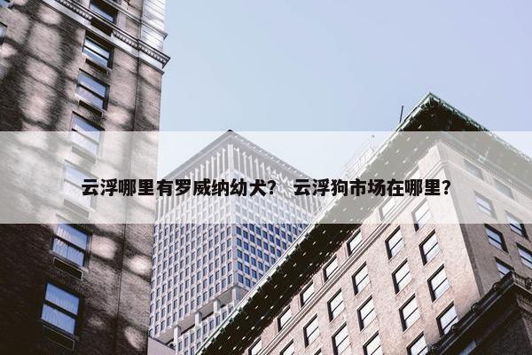 云浮哪里有罗威纳幼犬？ 云浮狗市场在哪里？