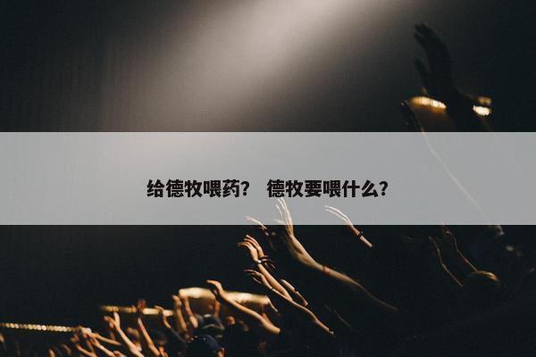 德牧 第8页