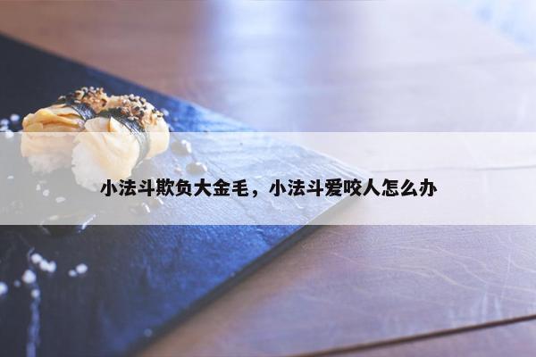小法斗欺负大金毛，小法斗爱咬人怎么办
