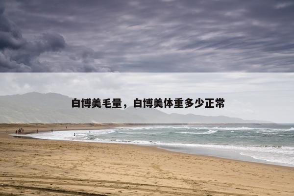 白博美毛量，白博美体重多少正常