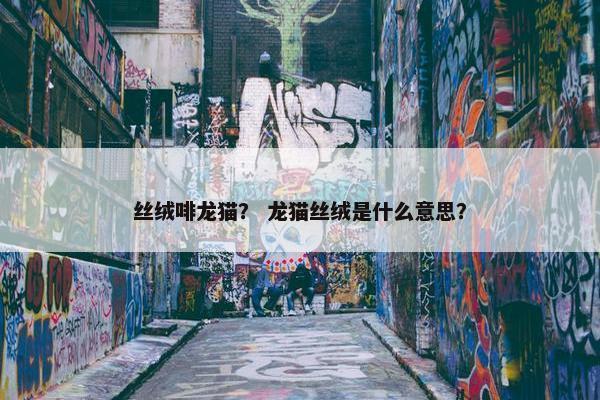 丝绒啡龙猫？ 龙猫丝绒是什么意思？