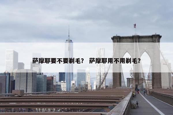 萨摩耶要不要剃毛？ 萨摩耶用不用剃毛？