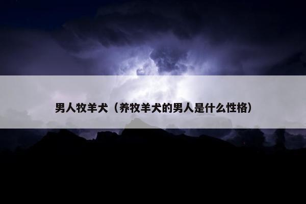 男人牧羊犬（养牧羊犬的男人是什么性格）