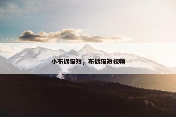 小布偶猫短，布偶猫短视频