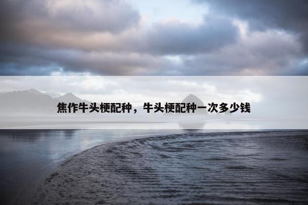 焦作牛头梗配种，牛头梗配种一次多少钱
