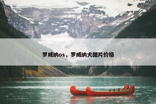 罗威纳os，罗威纳犬图片价格