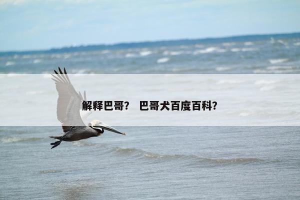 解释巴哥？ 巴哥犬百度百科？
