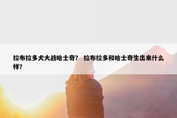 拉布拉多犬大战哈士奇？ 拉布拉多和哈士奇生出来什么样？