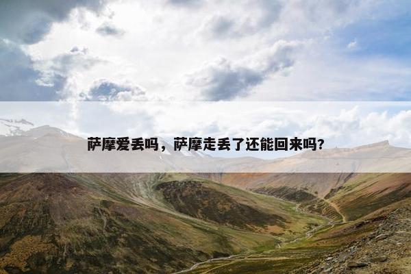 萨摩爱丢吗，萨摩走丢了还能回来吗?