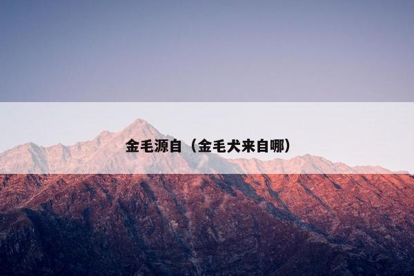 金毛源自（金毛犬来自哪）