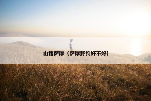 山猪萨摩（萨摩野狗好不好）