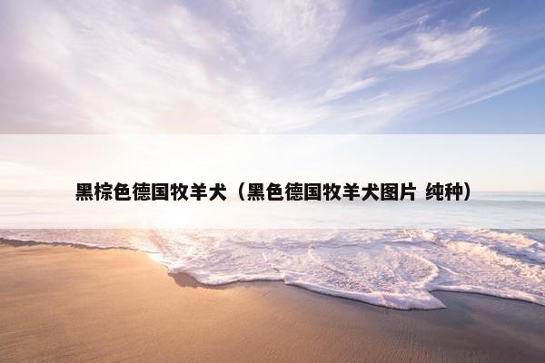 黑棕色德国牧羊犬（黑色德国牧羊犬图片 纯种）