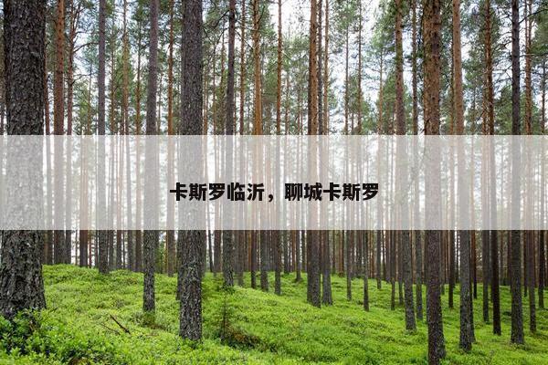 卡斯罗临沂，聊城卡斯罗