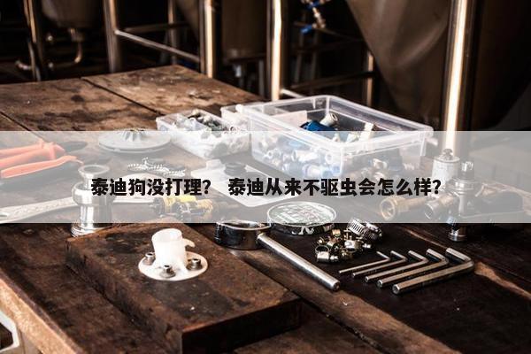 泰迪狗没打理？ 泰迪从来不驱虫会怎么样？